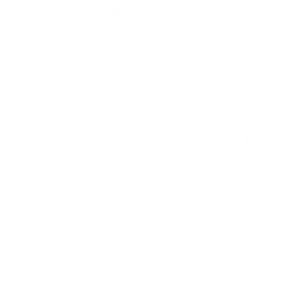 logo white